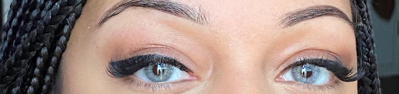 Dynamite Gray - Einjährige Linsen